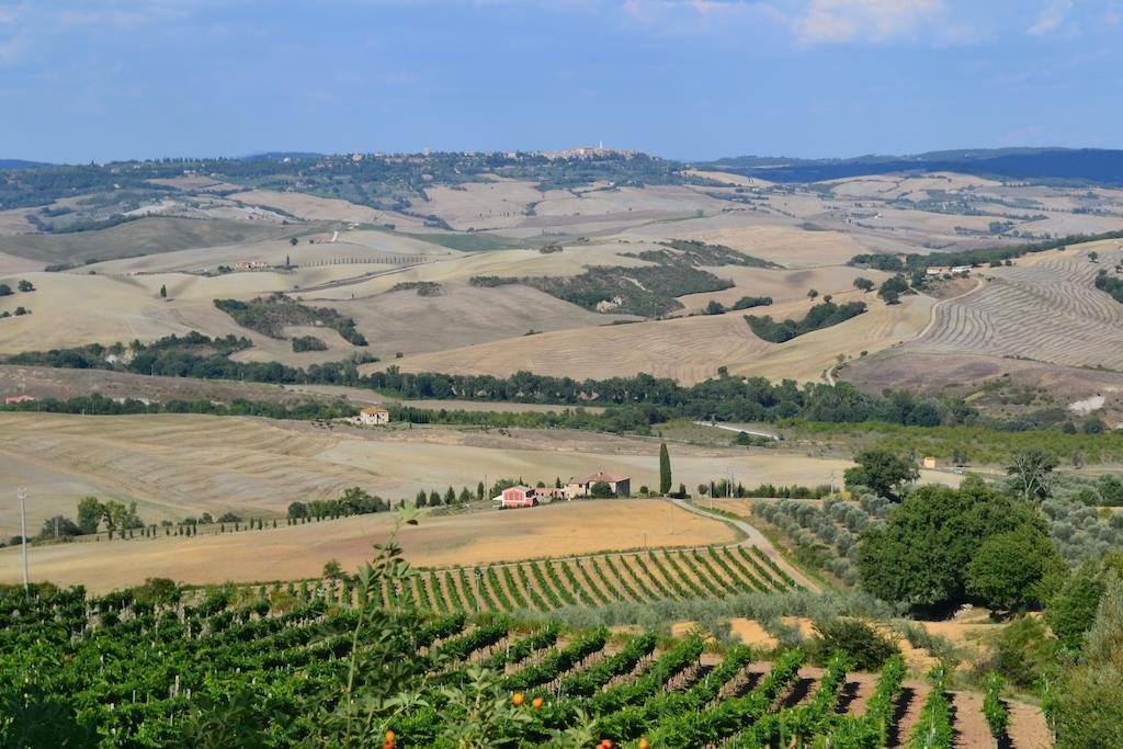 Agriturismo La Disperata Willa San Quirico dʼOrcia Pokój zdjęcie